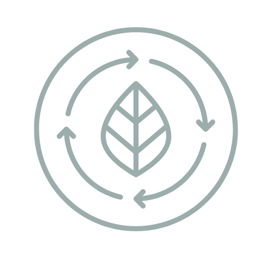 Icon für Regeneration